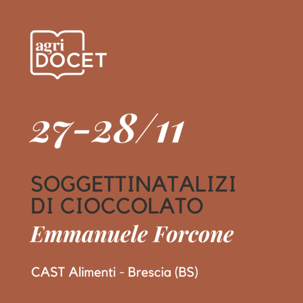 27-28 Novembre | SOGGETTI NATALIZI DI CIOCCOLATO